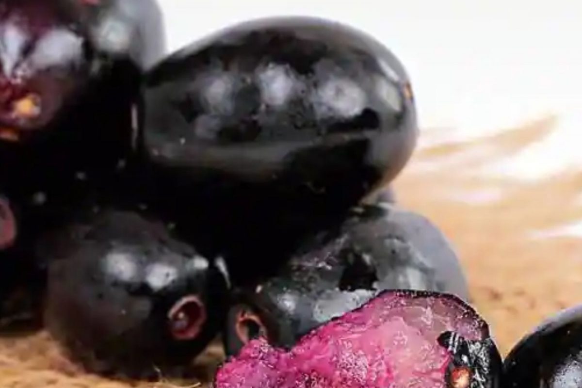 Black Jamun Benefits : तुम्हालाही आंबट-गोड जांभूळ खायला आवडतात? पाहा काय आहेत फायदे