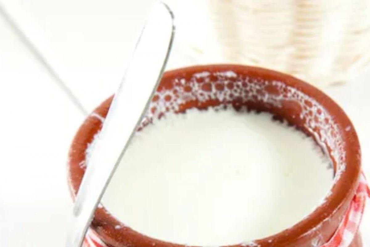 Superfood : खरंच? दूध आणि दही खाल्याने कमी होतो हृदयविकाराचा धोका?