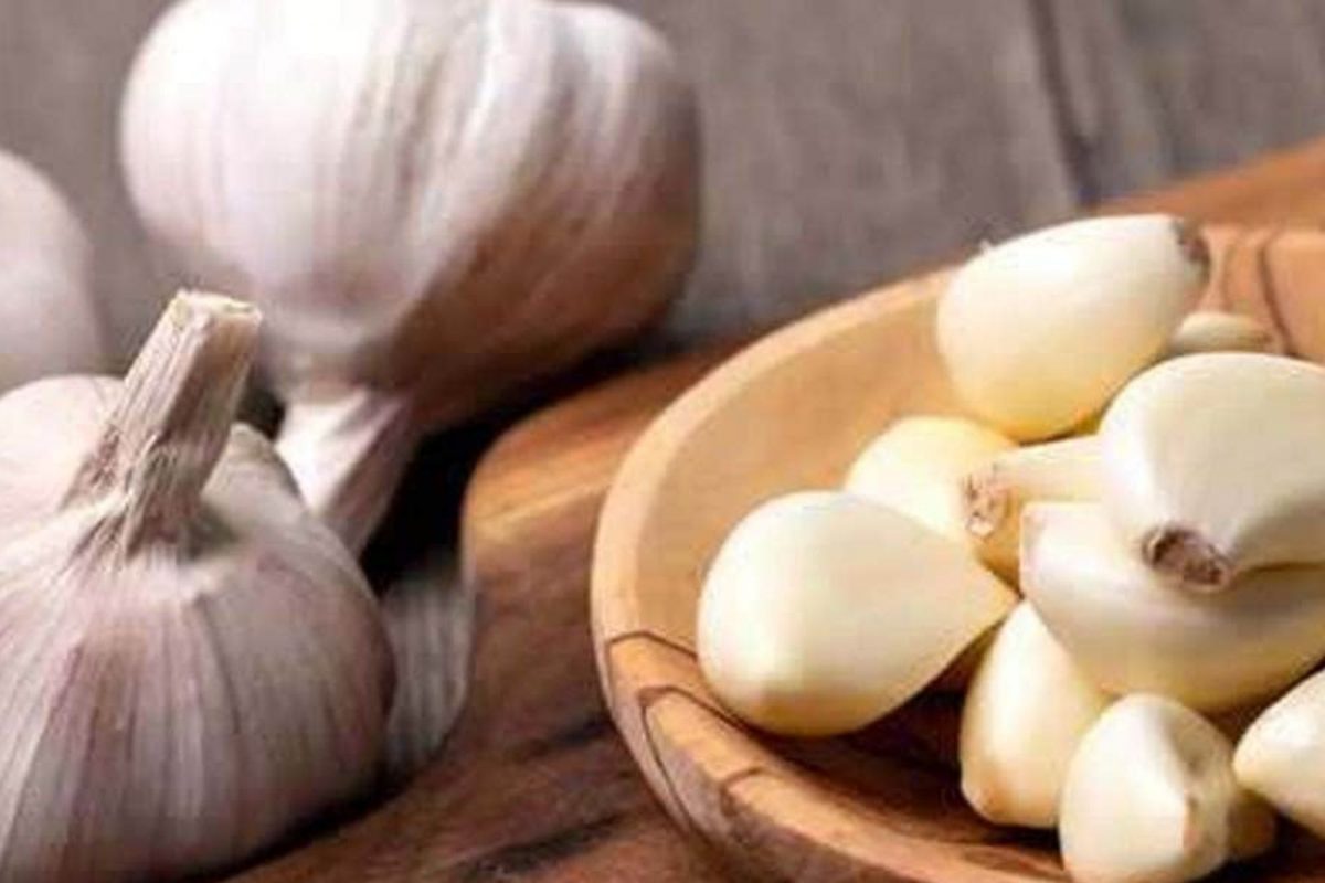 Garlic Benefits : रात्री झोपताना उशीखाली जरूर ठेवा लसूण; बहुगुणी लसणाचा हा फायदा तुम्हाला माहिती नसेल