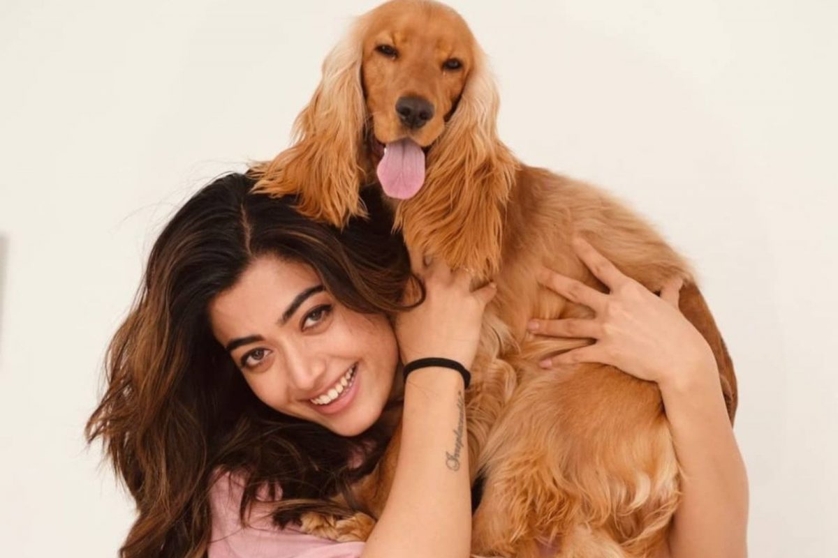 Rashmika Mandanna News: रश्मिका मंदनाने आपल्या डॉगीसाठी मागितलं विमानाचं तिकीट? झाला खुलासा