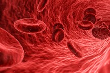 Thick Blood : रक्त घट्ट होण्याचं काय आहे कारण? शरीरासाठी आहे हानिकारक Thick Blood : रक्त घट्ट होण्याचं काय आहे कारण? शरीरासाठी आहे हानिकारक