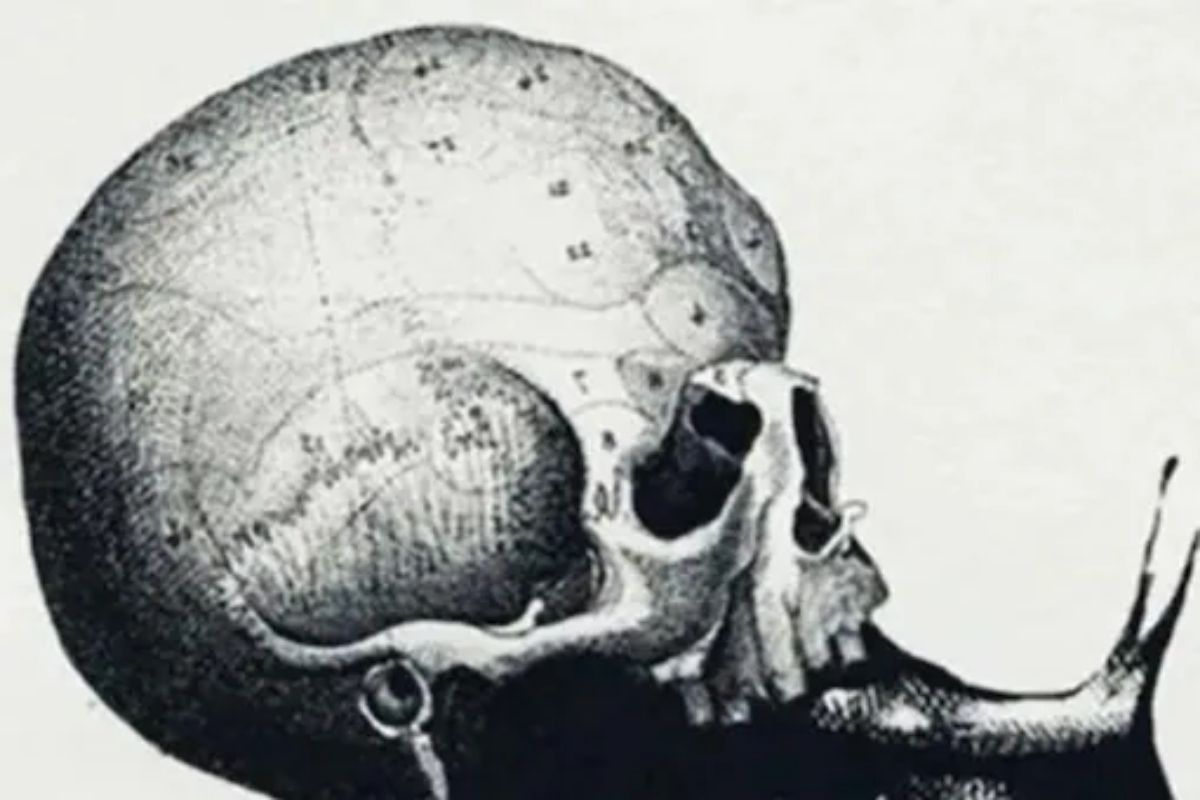 हा फोटो बघून तुम्हाला मिळेल तुमचा Dream Job; करिअरचं क्षेत्रही निवडता येईल; ब्रेन टीझर एकदा बघाच