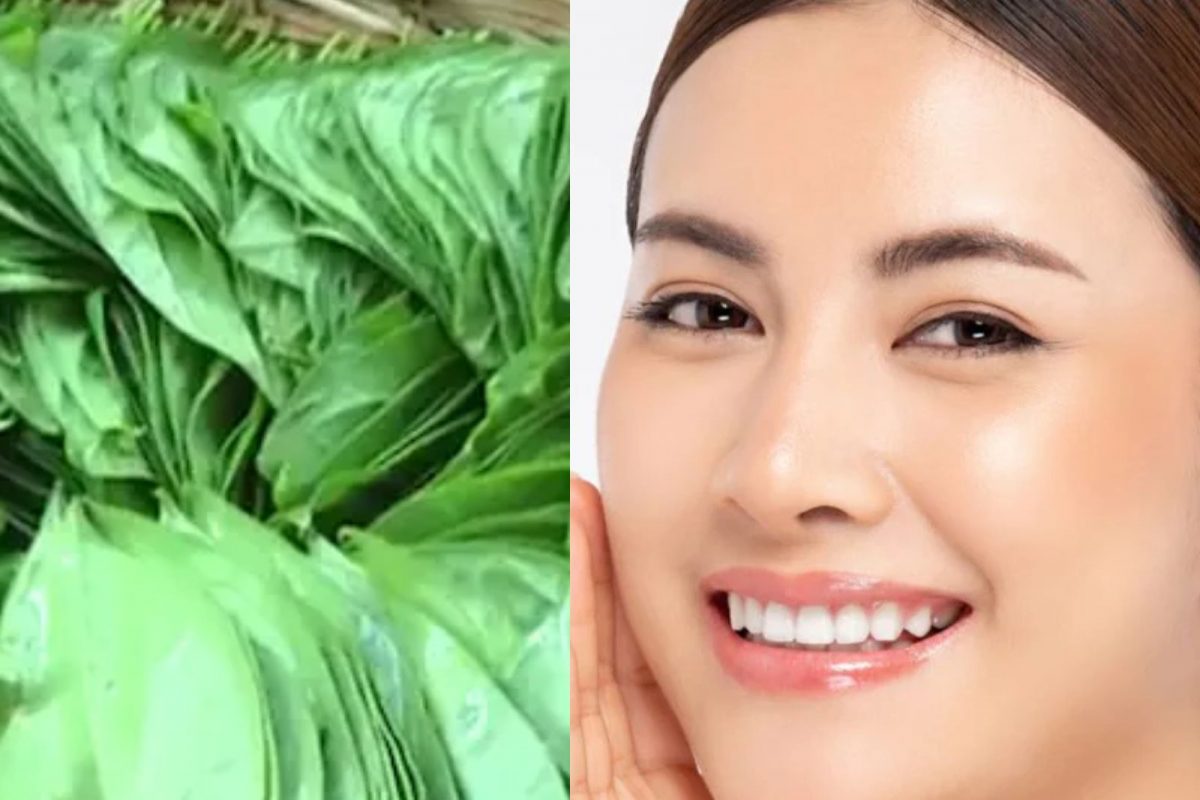 Skin Care : खाण्यासाठीच नाही तर त्वचेसाठीही फायदेशीर असते विड्याचे पान, वाचा फायदे