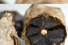 पांढऱ्या लसूणापेक्षा जास्त फायदेशीर काळा लसूण, हृदयरोग-कर्करोगावर ठरतो उपयुक्त पांढऱ्या लसूणापेक्षा जास्त फायदेशीर काळा लसूण, हृदयरोग-कर्करोगावर ठरतो उपयुक्त