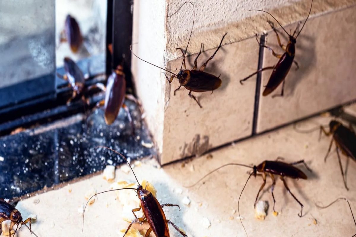 प्रतीकात्मक फोटो