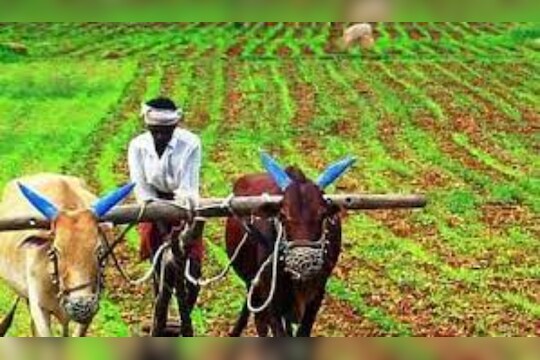 PM Kisan Update: खात्यात पैसे आले नाहीत तर कुठे तक्रार करायची? 