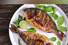 Fish Lover : फक्त चवीवर जाऊ नका, फायद्यानुसार पाहा तुम्ही कोणते मासे खायला हवेत Fish Lover : फक्त चवीवर जाऊ नका, फायद्यानुसार पाहा तुम्ही कोणते मासे खायला हवेत