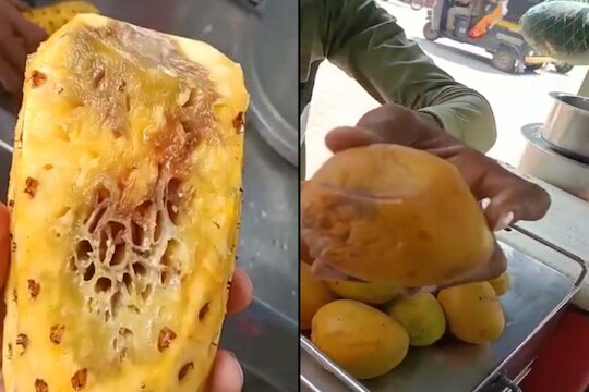 अननस आणि इतक फळंही सडलेल्या अवस्थेत आढळून आली. एवढंच नाहीतर अननस इतके सडले होते की, त्यात अळ्या सुद्धा पडल्या होता. 