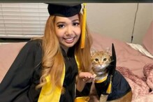 वर्षभर ऑनलाइन लेक्चर्सना उपस्थित राहून मांजर झाली Graduate; मिळाली डिग्री