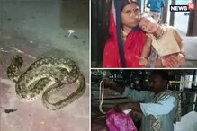 आजोबा-नातवाला चावला साप; रुग्णालयात नेताच असं काही घडलं की रुग्ण-कर्मचारी पळाले आजोबा-नातवाला चावला साप; रुग्णालयात नेताच असं काही घडलं की रुग्ण-कर्मचारी पळाले
