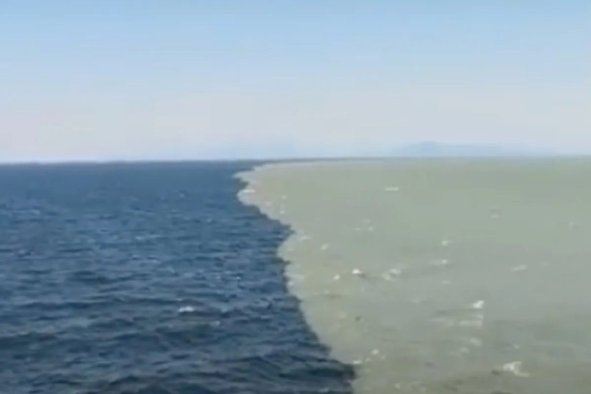 चमत्कार की सायन्स? अटलांटिक हिरवा तर हिंदी महासागर निळा का दिसतो? उत्तर मिळालं