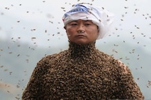 Shocking Photo व्हायरल, माणसाच्या शरीरावर मधमाशांनी तयार केलं पोळं