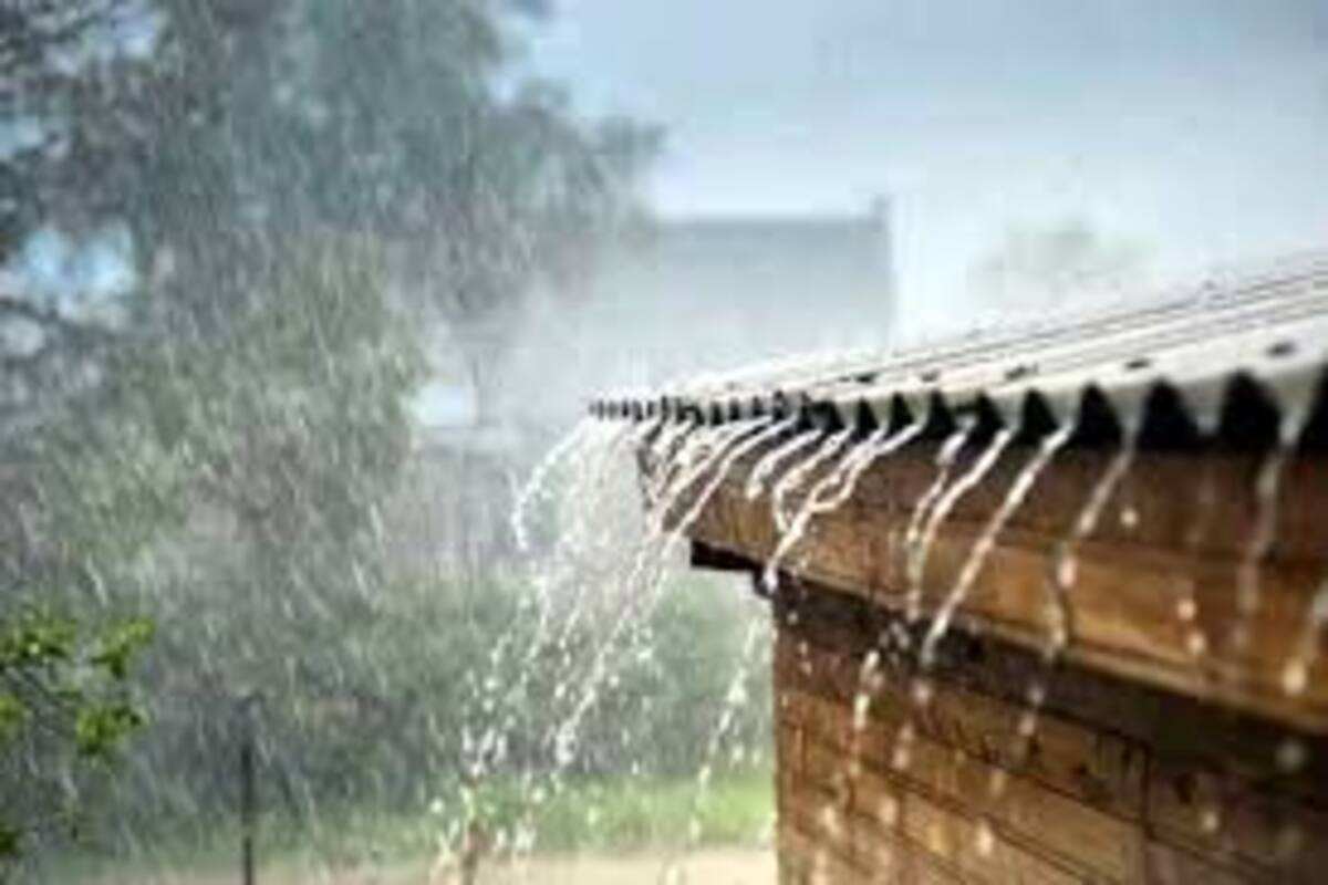 Maharashtra Rain Update : महाराष्ट्रातील 'या' भागात पुढचे 5 दिवस मुसळधार पाऊस, हवामान खात्याकडून अलर्ट