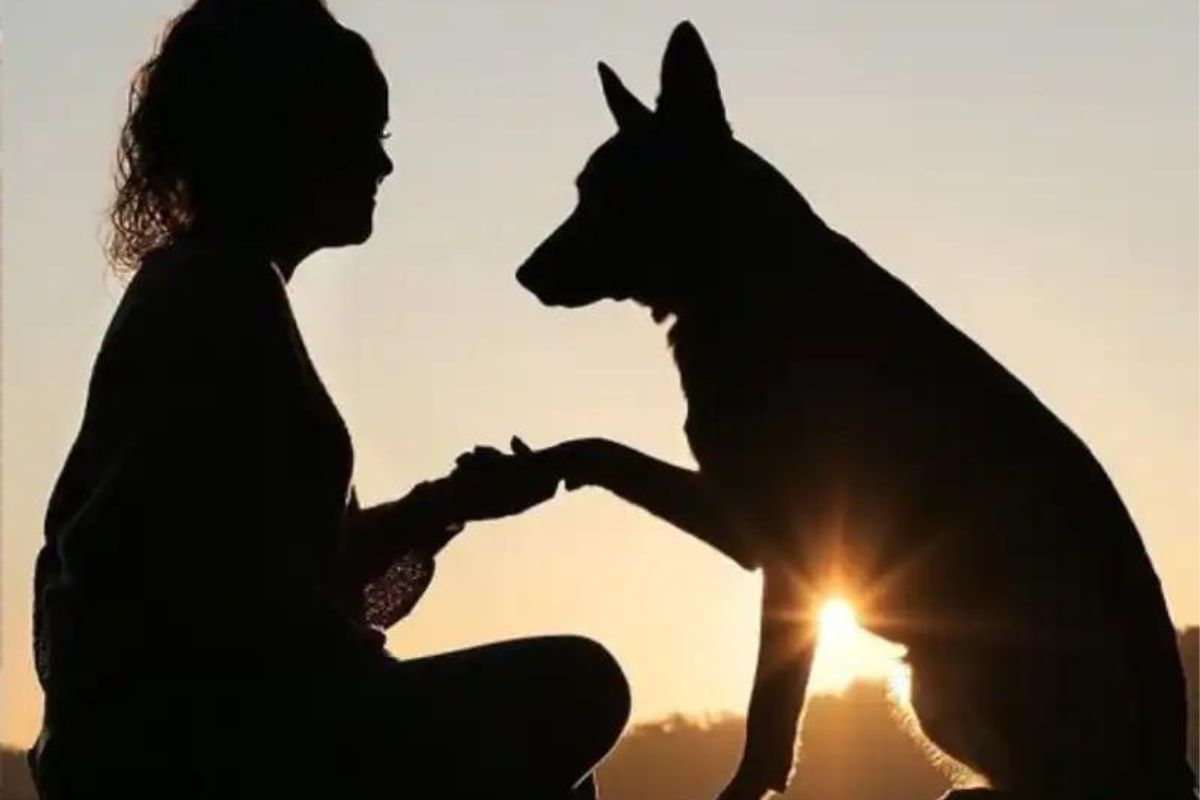 प्रतिकात्मक फोटो