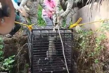 पुणे: विहिरीत पडलेल्या बिबट्याला वाचवण्यासाठी अधिकाऱ्यांची धडपड; VIDEO पुणे: विहिरीत पडलेल्या बिबट्याला वाचवण्यासाठी अधिकाऱ्यांची धडपड; VIDEO