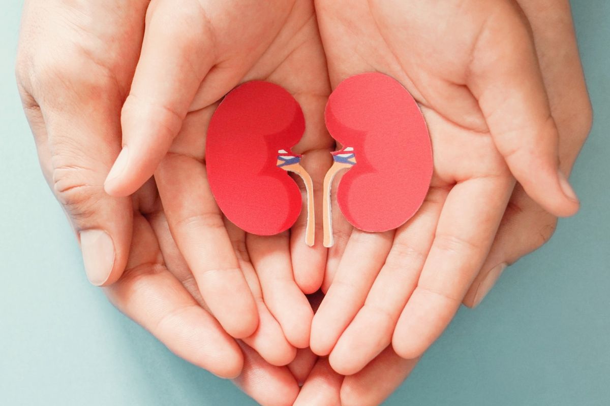 किडनी इन्फेक्शन रोखायचंय? हे 5 सोपे घरगुती उपाय ठरतील उपयुक्त