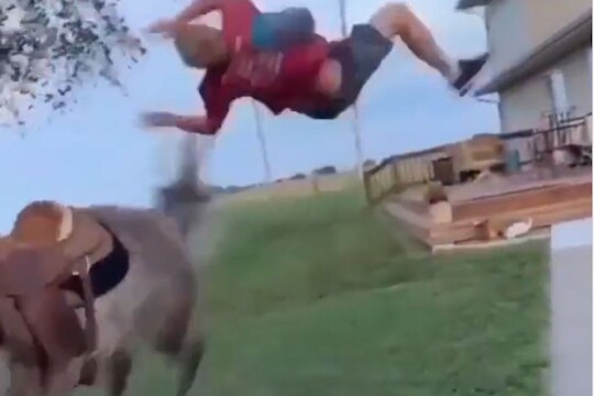 VIDEO : घोड्यावर बसताना स्टाईल मारणं भोवलं; प्राण्यानं जोरात लाथ मारताच हवेत उडाला व्यक्ती