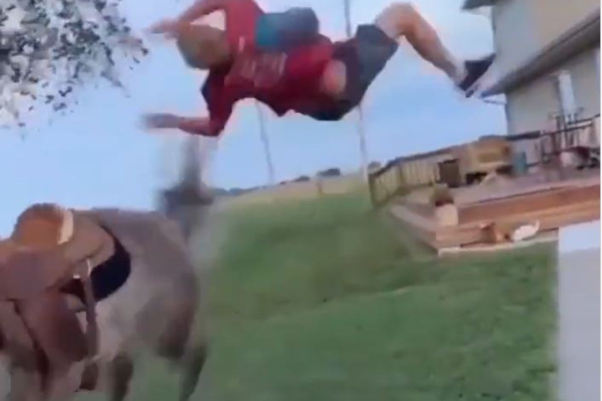 VIDEO : घोड्यावर बसताना स्टाईल मारणं भोवलं; प्राण्यानं जोरात लाथ मारताच हवेत उडाला व्यक्ती