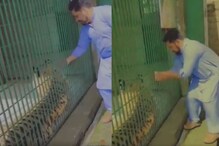 VIDEO: विनाकारण वाघाच्या पिंजऱ्यात घातला हात; पुढे घडलं असं काही की उडाला थरकाप VIDEO: विनाकारण वाघाच्या पिंजऱ्यात घातला हात; पुढे घडलं असं काही की उडाला थरकाप