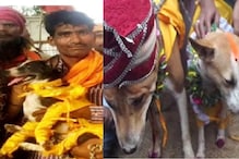 2 श्वानांचं लग्न; 500 पाहुणे, सोन्या-चांदीच्या दागिन्यांसह थाटात पार पडला विवाह 2 श्वानांचं लग्न; 500 पाहुणे, सोन्या-चांदीच्या दागिन्यांसह थाटात पार पडला विवाह
