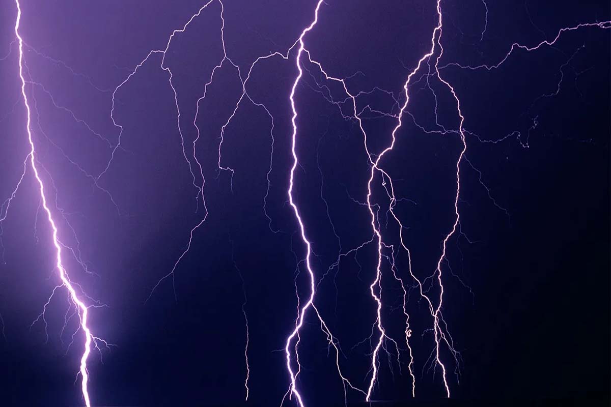 अचानक वीज अंगावर पडून शेतकरी निकम आणि त्यांच्यासोबत बैलजोडीचा जागीच मृत्यू झाला