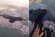 पक्षी कसा उडतो पाहण्यासाठी पक्ष्यासोबतच उडाली व्यक्ती; पुढे काय घडलं पाहा VIDEO