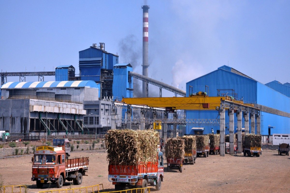 sugarcane season : राज्यातील साखर हंगाम संपला, परंतु सातारा जिल्ह्यात अद्यापही शेतात ऊस शिल्लक