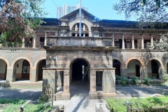  मुंबई पशुवैद्यकीय महाविद्यालय 