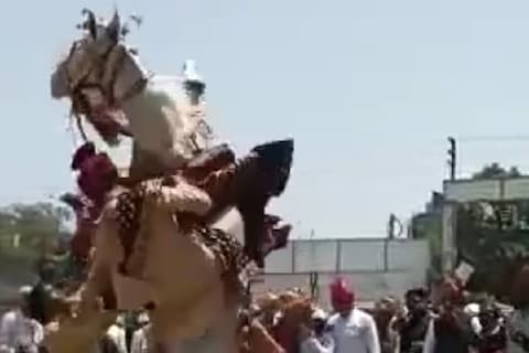 नागपूर