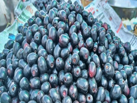 अकोला