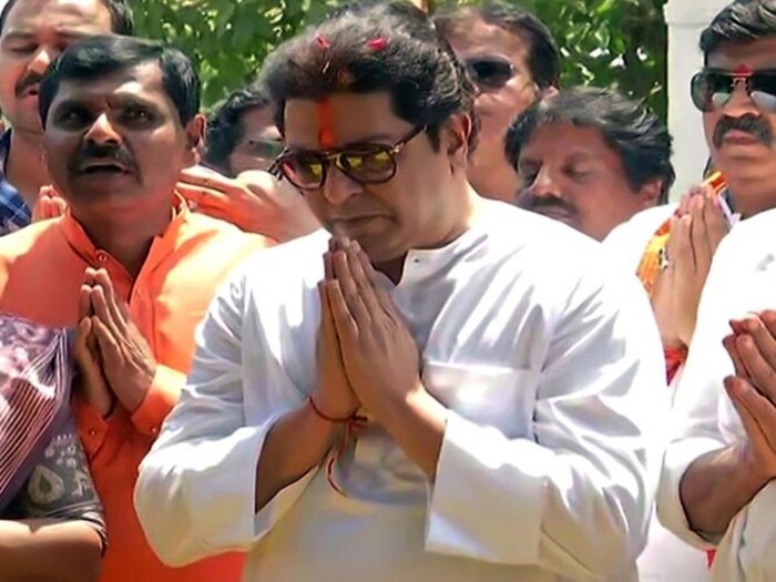 राज ठाकरे हे मुंबईतील सर जे.जे.चे पदवीधर आहेत. इन्स्टिट्यूट ऑफ अप्लाइड आर्ट. पदवीनंतर ते बाळासाहेब ठाकरेंच्या मार्मिक या साप्ताहिकात व्यंगचित्रकार म्हणून रुजू झाले.