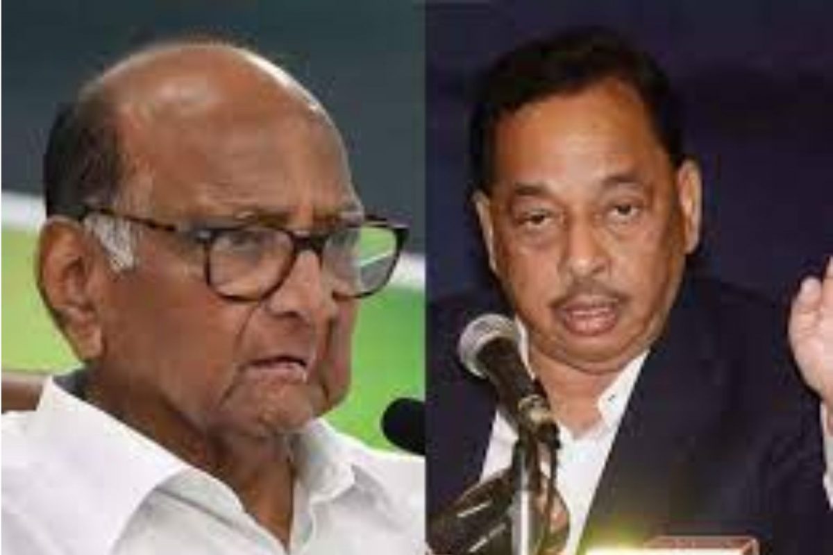 आमदारांच्या केसालाही धक्का लावल्यास...; राणेंची थेट शरद पवारांनाच धमकी