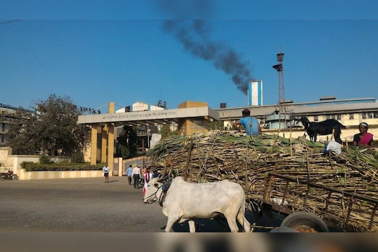 Sugarcane Farmer : मान्सून तोंडावर आला तरी देशात साखर कारखाने सुरूच, हंगाम आटोपण्यात महाराष्ट्र सर्वात पिछाडीवर