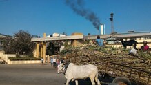 मान्सून तोंडावर आला तरी देशात साखर कारखाने सुरूच, महाराष्ट्र सर्वात पिछाडीवर मान्सून तोंडावर आला तरी देशात साखर कारखाने सुरूच, महाराष्ट्र सर्वात पिछाडीवर