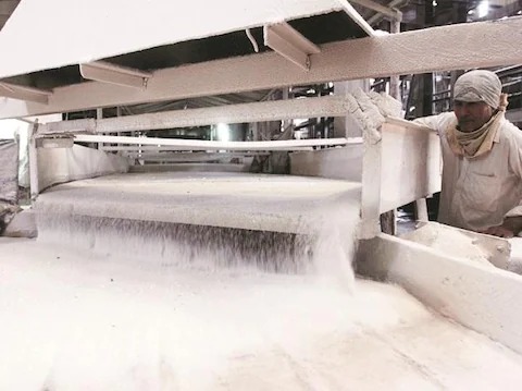 Sugarcane Problem : साखर उद्योग अडचणीत येणार? पुढच्या हंगामात साखर उत्पादन वाढणार असल्याने साखरेचा प्रश्न गंभीर