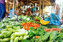 टोमॅटो, बटाट्यांसह भाजीपाला महागण्यामागे 'ही' आहेत कारणं