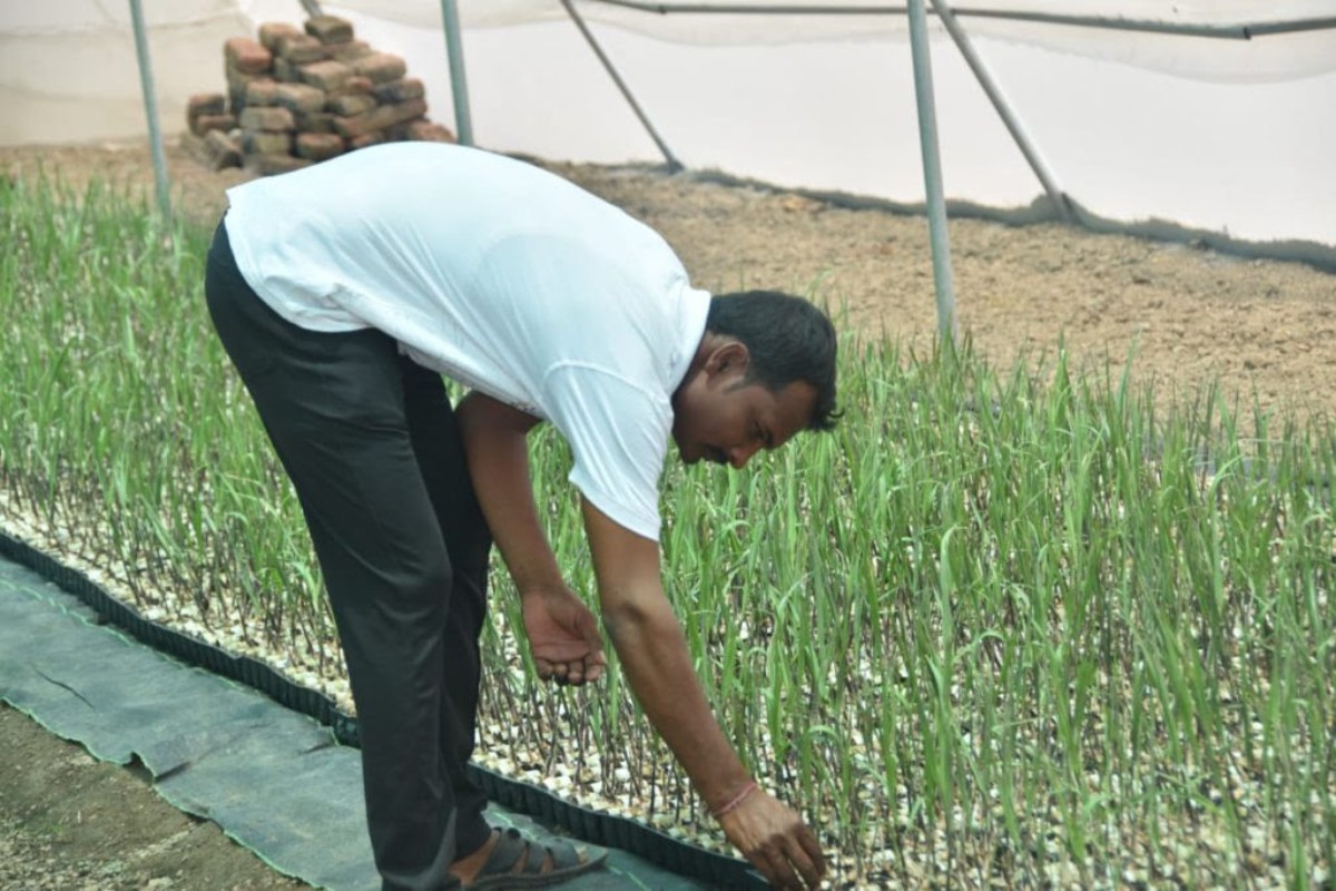 Watermelon farming : एक एकरात साडेतीन लाखांचे कलिंगड; बारामतीच्या शेतकऱ्याची सर्वत्र चर्चा