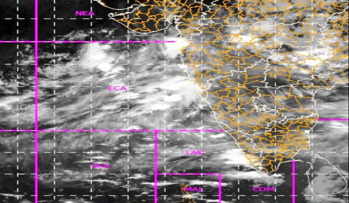 Weather Forecast : राज्यातील ‘या’ भागात पावसाचा yellow alert, दोन दिवसांत संपूर्ण राज्यात मान्सून सक्रीय