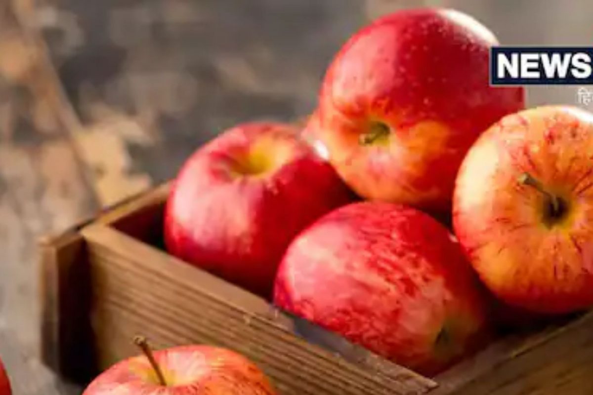 Foods For Lungs Health: फुप्फुसांच्या कार्यक्षमतेसाठी 6 पदार्थांचा आहारात करा समावेश