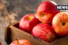 Foods For Lungs Health: फुप्फुसांच्या कार्यक्षमतेसाठी 6 पदार्थांचा आहारात करा सम Foods For Lungs Health: फुप्फुसांच्या कार्यक्षमतेसाठी 6 पदार्थांचा आहारात करा सम