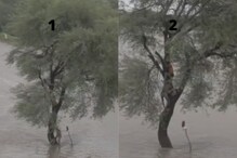 चहुबाजूला पाणीच पाणी आणि झाडावर अडकले 2 तरुण; यवतमाळमधील भीतीदायक Video चहुबाजूला पाणीच पाणी आणि झाडावर अडकले 2 तरुण; यवतमाळमधील भीतीदायक Video