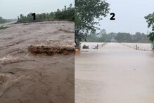 महाराष्ट्रात पावसाचा हाहाकार, वाचा, तुमच्या जिल्ह्यातील परिस्थिती कशी आहे? महाराष्ट्रात पावसाचा हाहाकार, वाचा, तुमच्या जिल्ह्यातील परिस्थिती कशी आहे?