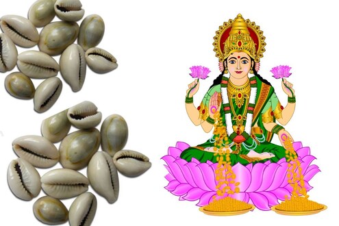 Shukrawar Lakshmi Puja: लक्ष्मीची पूजा करताना म्हणून कवड्या वापरतात; शुक्रवारच्या पूजेत या गोष्टी घ्या Shukrawar Lakshmi Puja: लक्ष्मीची पूजा करताना म्हणून कवड्या वापरतात; शुक्रवारच्या पूजेत या गोष्टी घ्या