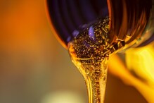Astro Tips: नशिबाची साथ मिळण्यासाठी तेलाचे करतात हे 5 उपाय, चमकेल भाग्य Astro Tips: नशिबाची साथ मिळण्यासाठी तेलाचे करतात हे 5 उपाय, चमकेल भाग्य