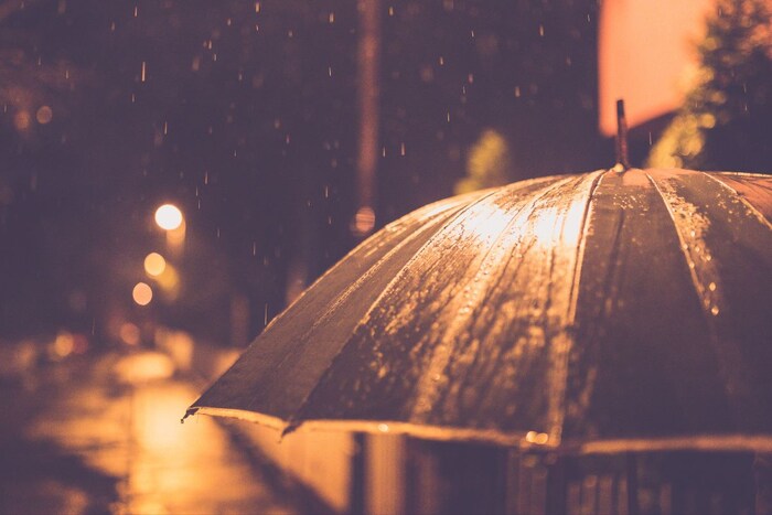 या परिस्थितीत तुम्ही छत्री सोबत ठेवावी. छत्री सोबत नेण्यास सोपी असते आणि ती पावसापासून तुमचं आणि तुमच्या सामानाचं संरक्षण करण्यास मदत करते.