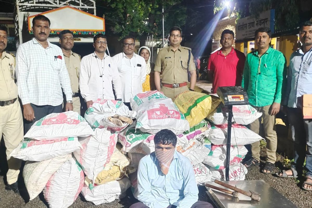 ग्रामीण भागासह शहरी भागातील चंदनाची झाडे चोरून नेत असल्यामुळे नागरिकांत दहशत निर्माण झाली होती