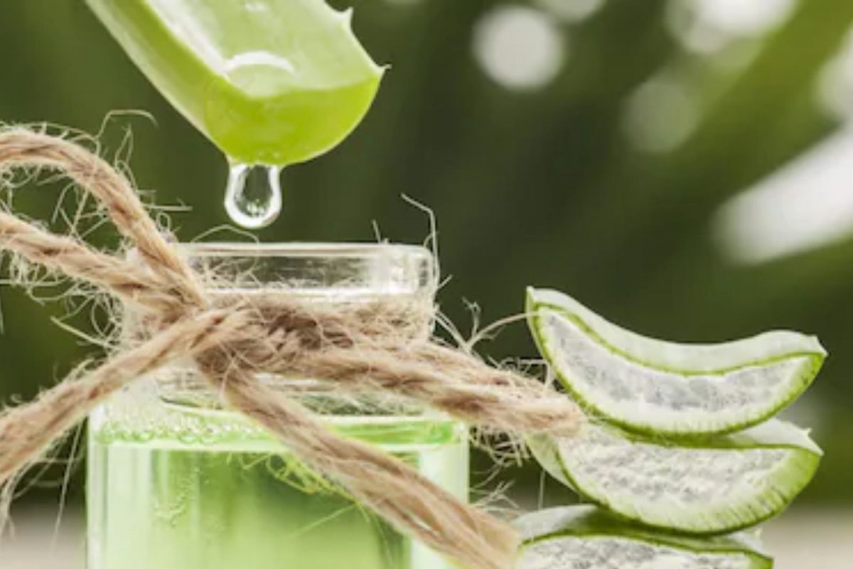 अतिशय गुणकारी असणाऱ्या कोरफडीचा वापरही ठरू शकतो घातक! 'हे' आहेत दुष्परिणाम