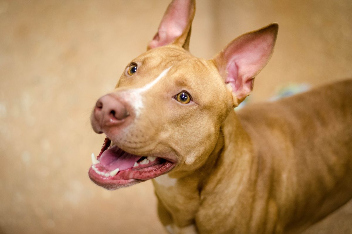 संग्रहित छायाचित्र