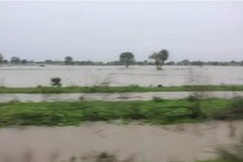 मुसळधार पावसामुळे राज्यात दाणादाण; शेताने घेतलं तळ्याचं रुप, धक्कादायक Video