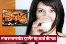 मांस खाल्ल्यानंतर दूध पिणं बेतू शकतं जीवावर! आयुर्वेदात सांगितलंय कारण मांस खाल्ल्यानंतर दूध पिणं बेतू शकतं जीवावर! आयुर्वेदात सांगितलंय कारण